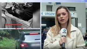 VIDEO Turiștii străini au fost mușcați de urși în județul Argeș. Una dintre victime este o femeie de 75 de ani